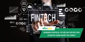 Sandbox fintech: Cơ hội hay rủi ro cho startup công nghệ tài chính?